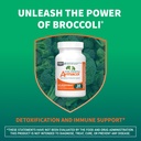 nutramax-laboratories-avmacol-extra-stre-4.jpg
