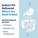 klaire-labs-sfi-health-saccharomyces-bou-4.jpg