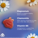 zarbee-s-naturals-children-s-calm-gummie-4.jpg