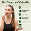biogenesis-organic-chlorella-tablets-300-5.jpg