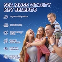 sea-moss-black-seed-oil-ashwagandha-shil-3.jpg