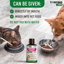 cat-dog-natural-uti-medicine-urinary-tra-5.jpg