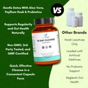 15-day-colon-cleanse-detox-gut-health-su-5.jpg