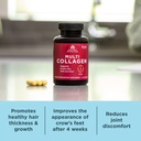ancient-nutrition-collagen-peptides-pill-5.jpg