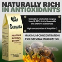 brazil-brazillian-green-bee-propolis-liq-4.jpg