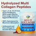 terranics-multi-collagen-peptides-powder-3.jpg