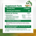 greenatr-mushroom-supplement-10-in-1-ble-5.jpg