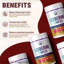 legrano-berberine-supplement-500mg-with--3.jpg