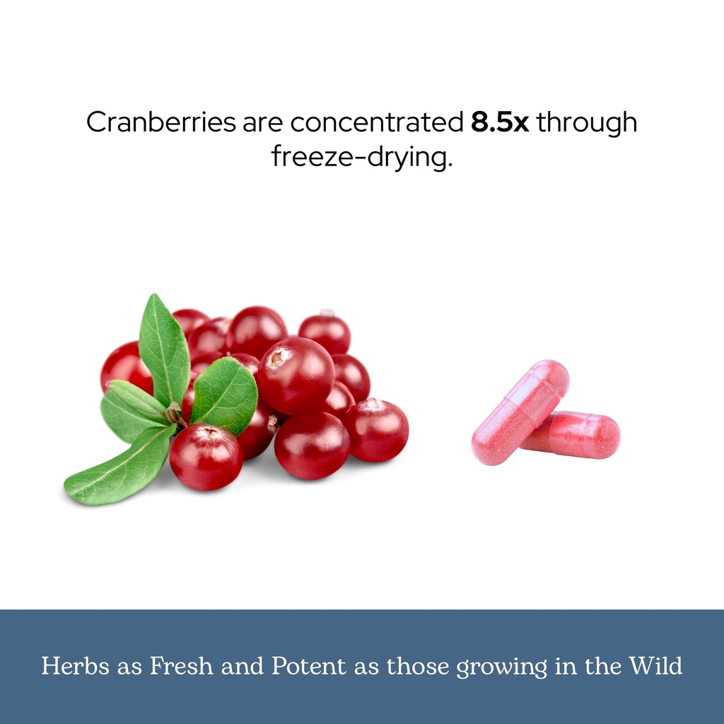 eclectic-herb-premium-freeze-dried-cranb-5.jpg