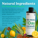 atlantic-naturals-1-day-colon-cleanse-fu-6.jpg