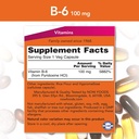 now-vitamin-b-6-100mg250-capsules-pack-o-2.jpg
