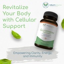 glutathione-symmetry-s-acetyl-glutathion-2.jpg