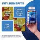 vitamatic-probiotic-sugar-free-gummies-f-5.jpg