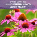 garden-of-life-organics-elderberry-gummi-3.jpg