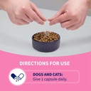 nutramax-proviable-probiotics-for-dogs-a-6.jpg