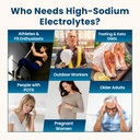 venture-pal-high-sodium-sugar-free-elect-4.jpg