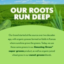 amazing-grass-greens-blend-superfood-gre-5.jpg