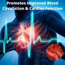 research-labs-ultra-high-purity-20mg-pqq-5.jpg
