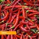 herb-pharm-certified-organic-cayenne-ext-6.jpg