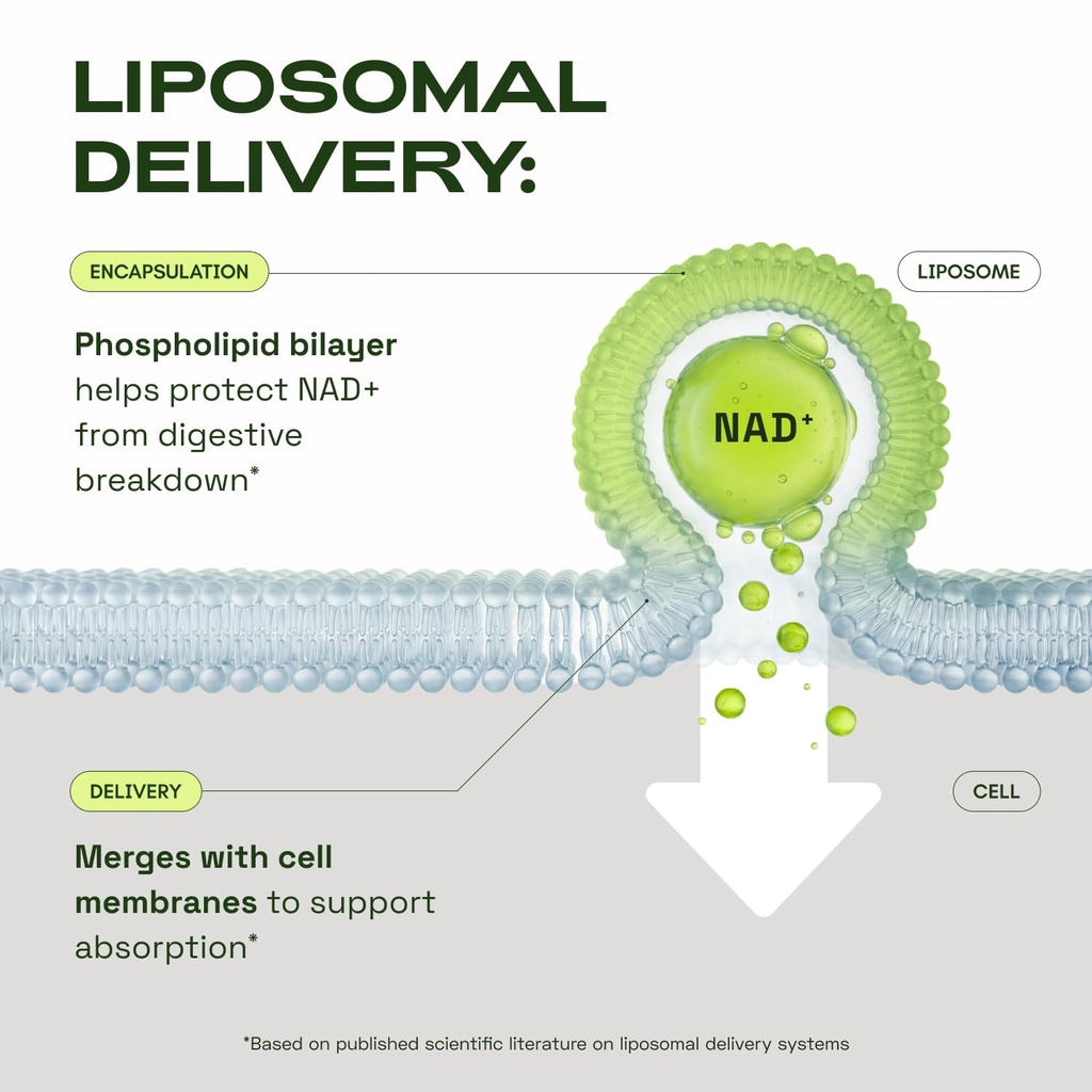 cata-kor-liposomal-nad-supplement-with-r-4.jpg