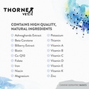 thornevet-canine-geriatric-basics-senior-5.jpg