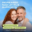 cata-kor-nmn-supplement-alternative-lipo-2.jpg