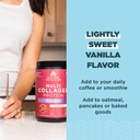 ancient-nutrition-collagen-powder-protei-3.jpg
