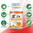 turmeric-for-dogs-180-count-tablet-treat-3.jpg