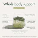 welleco-the-super-elixir-daily-greens-po-6.jpg