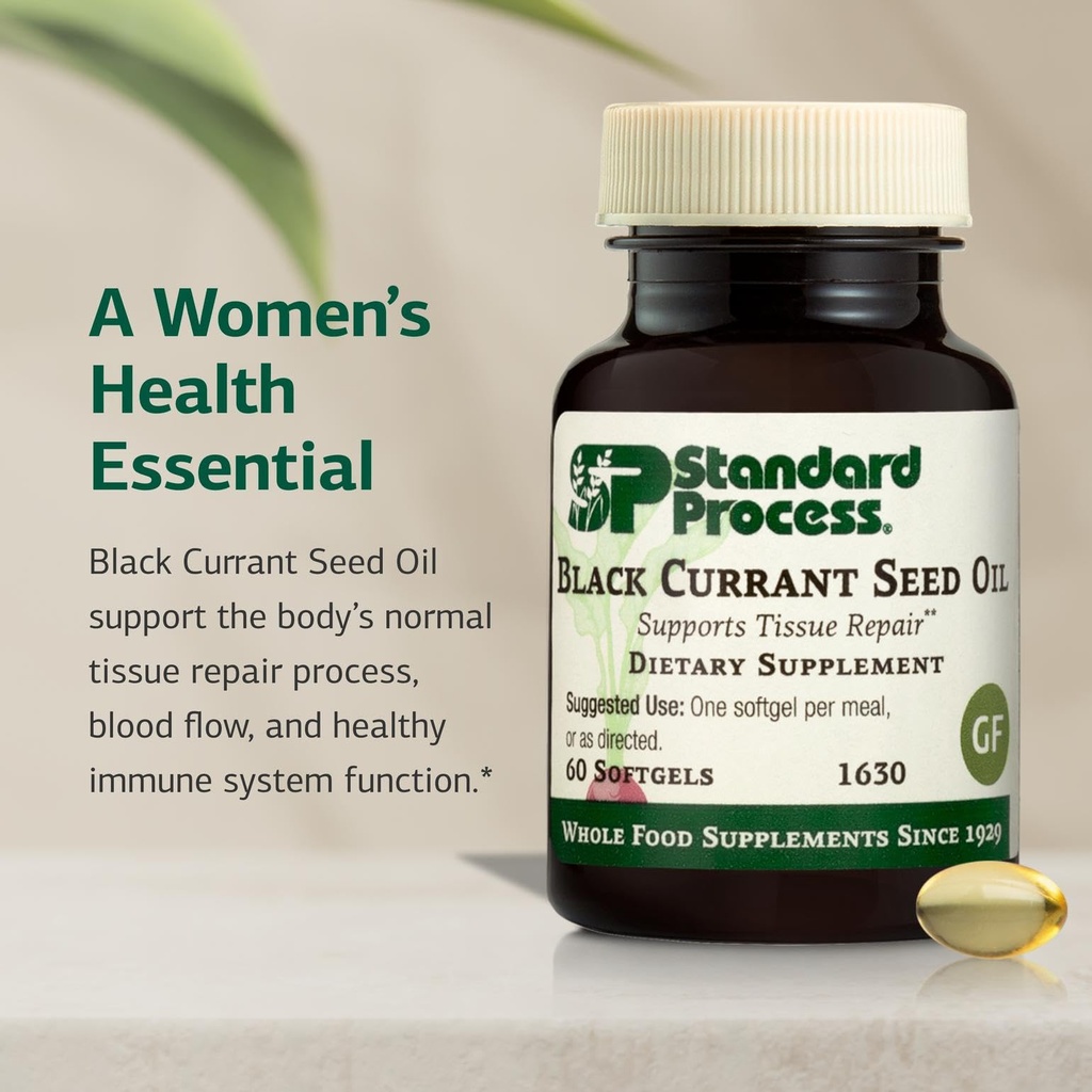standard-process-black-currant-seed-oil--3.jpg