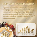 omogs-nad-300-mg-trans-resveratrol-200-m-4.jpg