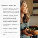 endur-pepzingi-zinc-carnosine-chewables--4.jpg