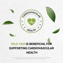 secrets-of-the-tribe-wild-yam-alcohol-fr-5.jpg