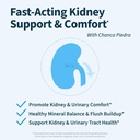 natural-kidney-cleanse-eliminate-protect-4.jpg