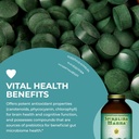 healthforce-superfoods-spirulina-manna---5.jpg