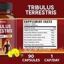 tribulus-terrestris-capsules-with-ashwag-4.jpg