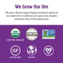 om-mushroom-superfood-hot-chocolate-blen-3.jpg