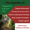 high-absorption-calcium-magnesium-zinc-g-3.jpg