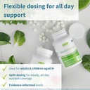 igennus-neurobalance-zinc-magnesium-b6-c-4.jpg