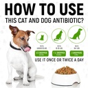 dog-antibiotics-with-chicken-flavor-сat--4.jpg