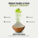 herbsforever-garcinia-cambogia-powder-su-6.jpg