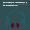 lifelink-nac-n-acetyl-l-cysteine-600-mg--5.jpg