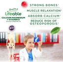 lifeable-kids-calcium-magnesium-zinc-gum-3.jpg