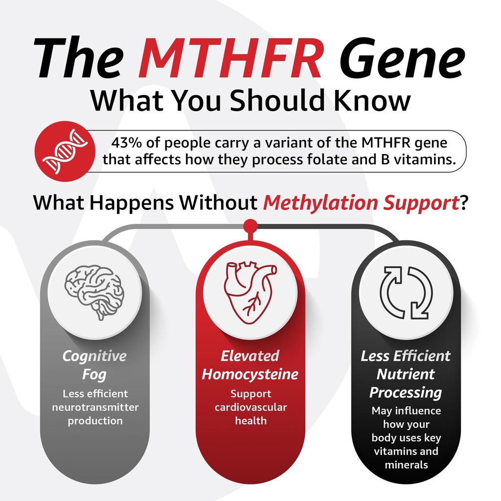 10x-health-5-mthf-methylfolate-methylate-6.jpg