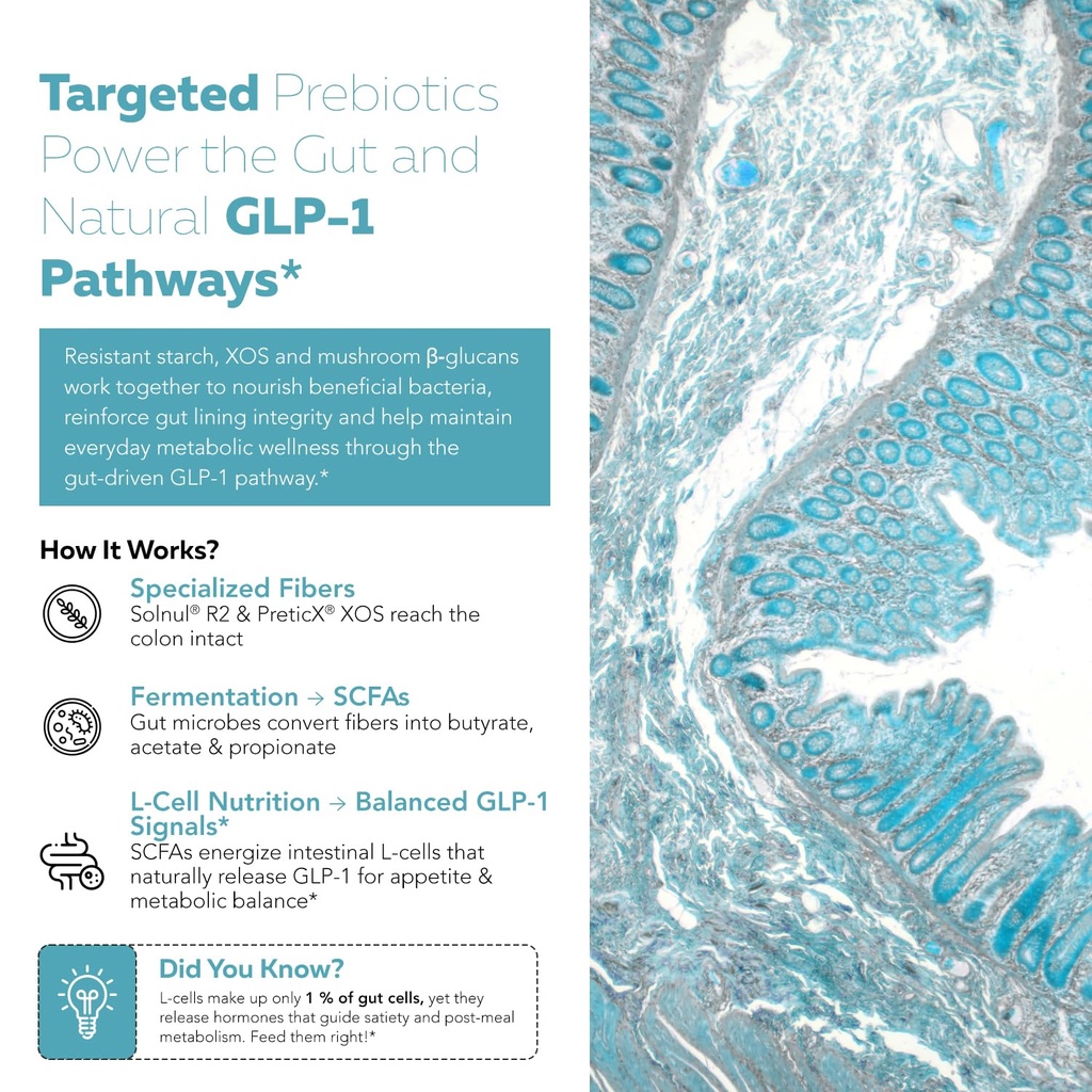 glp-pre-optimized-prebiotic-fiber-comple-3.jpg