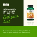 swanson-vitamin-d3-1000-iu-250-softgels--5.jpg