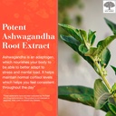 new-nordic-ashwagandha-gummies-300-mg-as-6.jpg