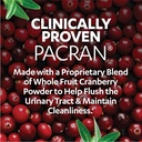 azo-cranberry-urinary-tract-health-suppl-4.jpg