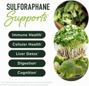 sulforaphane-complex-400mg-dim-supplemen-3.jpg