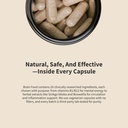 snap-supplements-brain-booster-nootropic-6.jpg